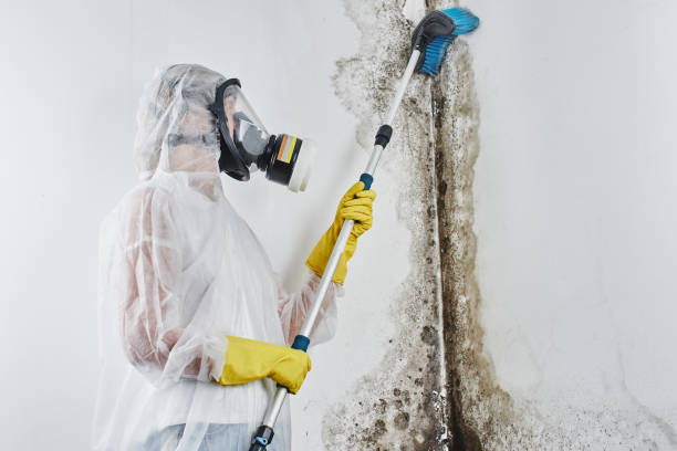 Best Crawl Space Mold Removal  in Monroe, OH