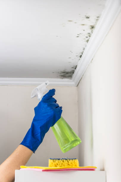 Best Crawl Space Mold Removal  in Monroe, OH